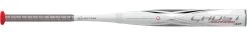 2020 Easton Ghost Advanced Women's Balanced Fastpitch Softball Bat FP20GHAD10 (-10oz)